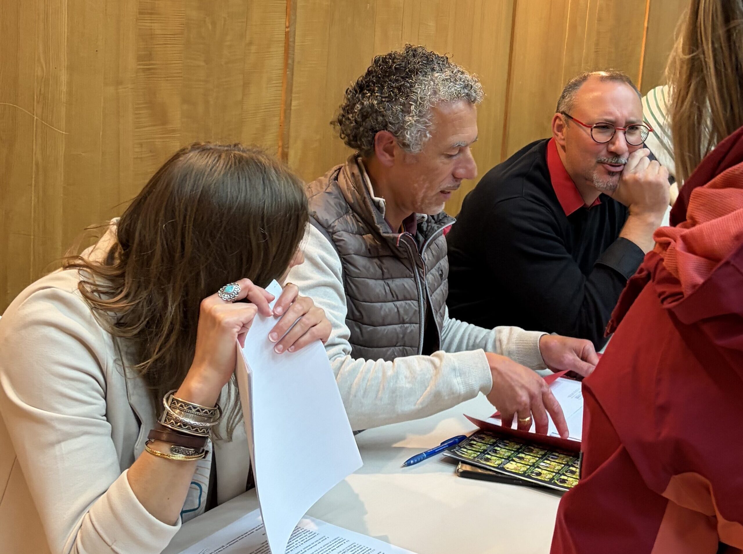 les élus de LAV au 3eme conseil municipal de Luynes 13 mai 2026